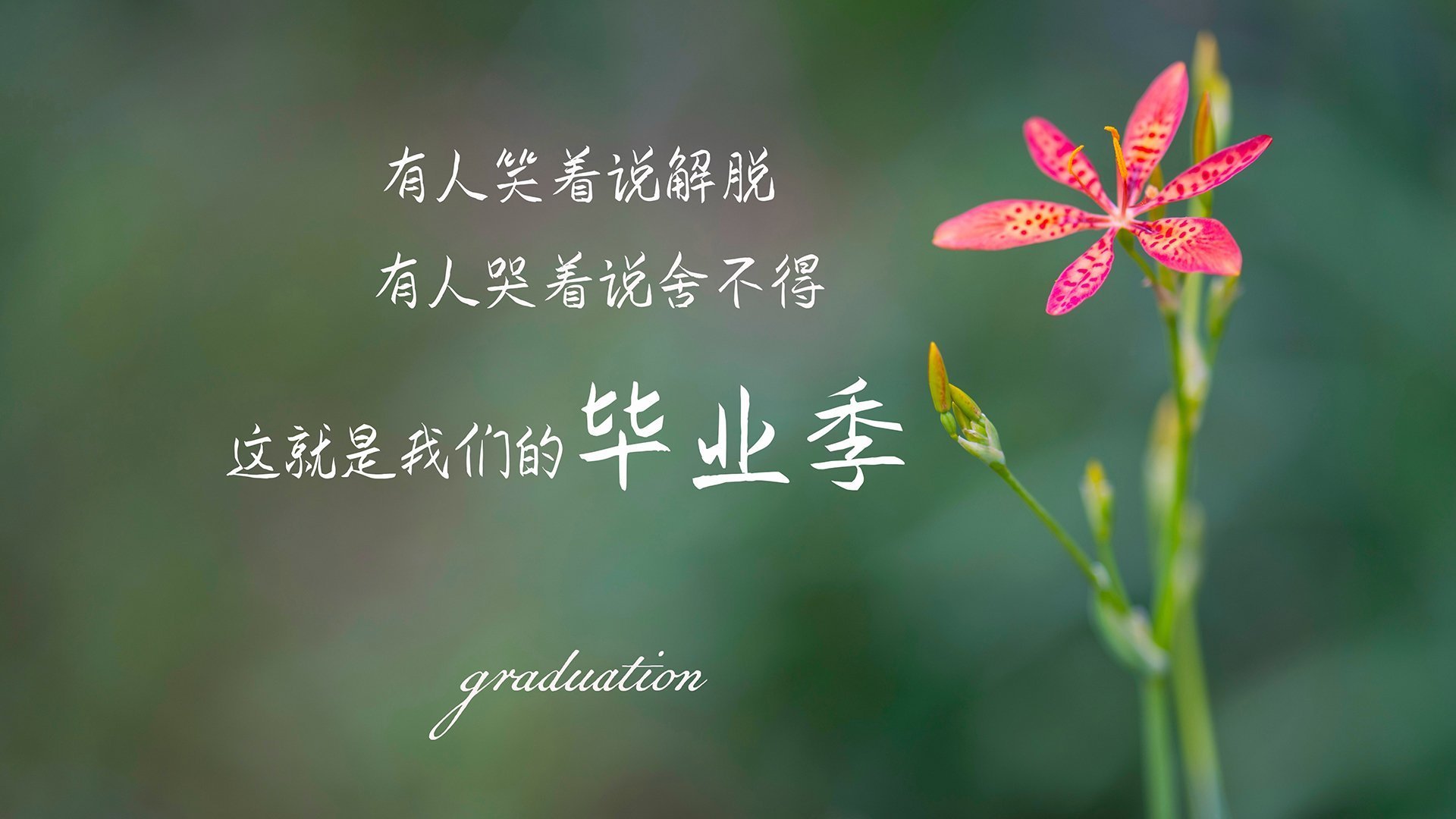 开云APP-LOL主播挑战职业赛场引发圈内热议，主播对战职业选手视频