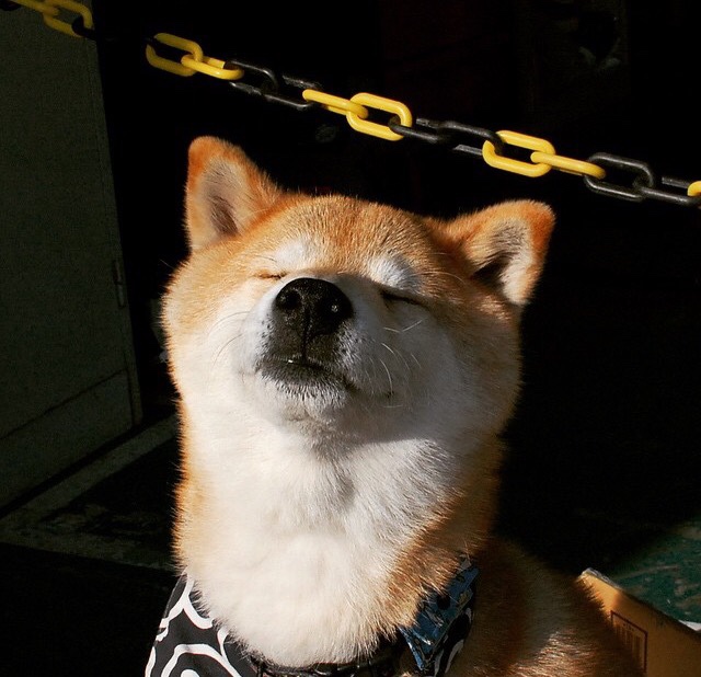 五大联赛单场射门次数与实际控球质量关系分析，五大联赛球员单场进球纪录