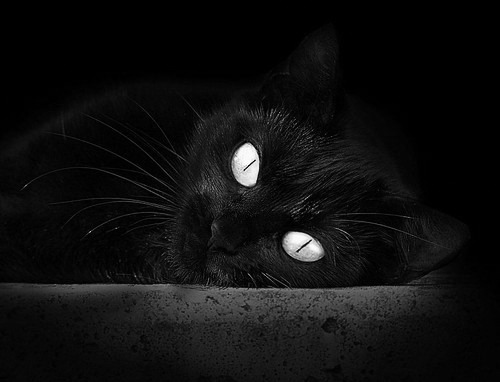 五大联赛单场射门次数与实际控球质量关系分析，五大联赛球员单场进球纪录