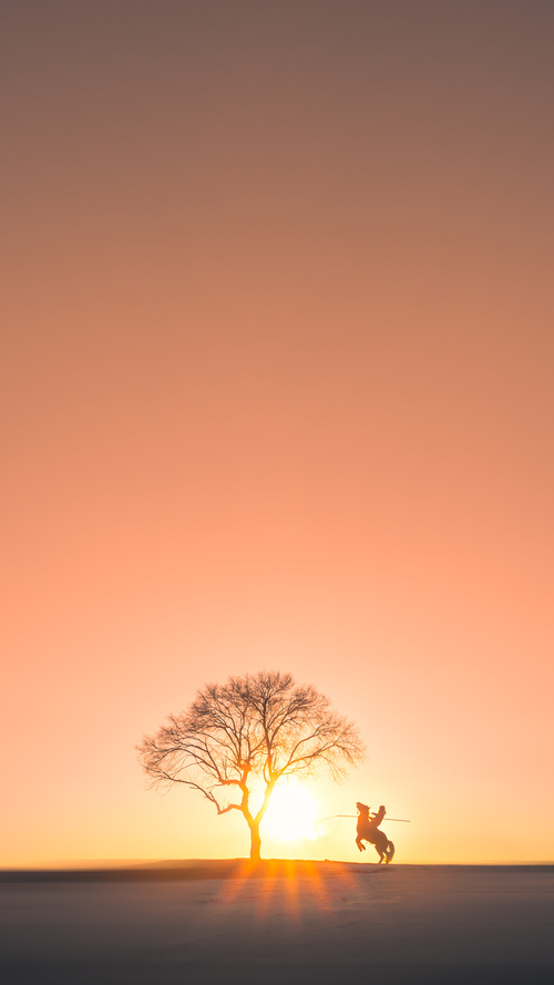 男子100米自：爆发力与速度的较量，男子100米达标