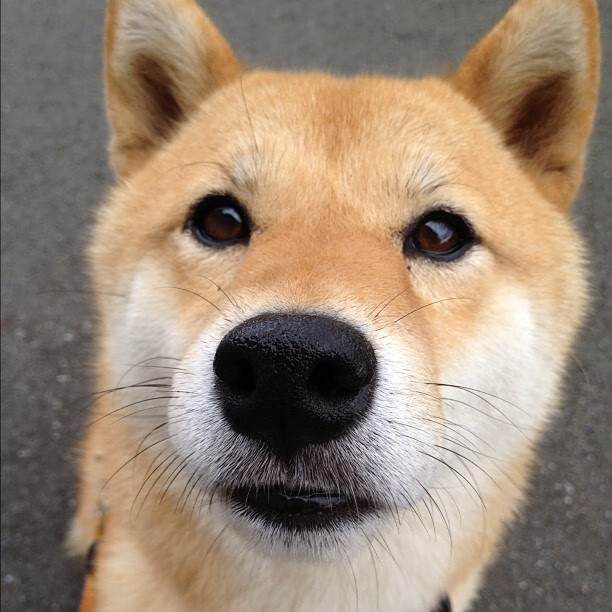 世界杯精彩夜：激情无限，燃烧团魂！，世界杯精彩片段视频